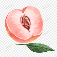 WWW,nnn76·COM网站APPAPP应用