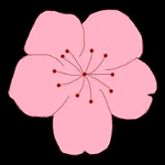 9.1直播免费