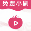 紫光影视TV内置源版下载 紫光影视TV内置源版下载